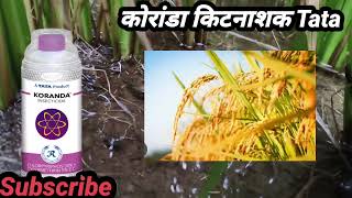 Koranda Insecticide Tata Chlorpyriphos 50%Cypermethirin 5%Ec Aphid Jid Thrips Whitefly Bollworm