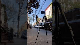 You Only Fail If You Stop Trying