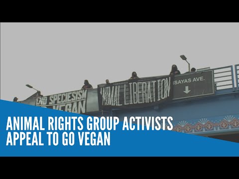 Animal rights group activists appeal to go vegan