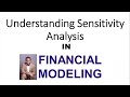 Understading sensitivity analysis in financial modeling purpose  interpreting finan model outcome