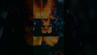 one ugly motherf***er predator edit #shorts #memes #arnoldschwarzenegger  #sigma #sigmarule #edit