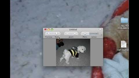 Mac Converting png to jpg