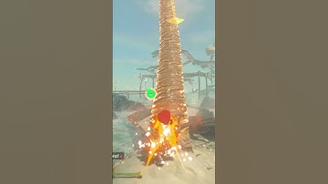 Over dramatic tree launch (The Legend of Zelda: Breath of the Wild)