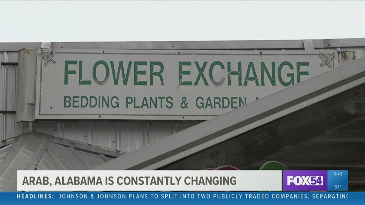 Arab, AL Historic, but still evolving YouTube