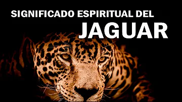 ¿Qué simbolizan los jaguares?