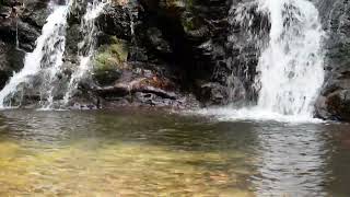 DSC 0145
