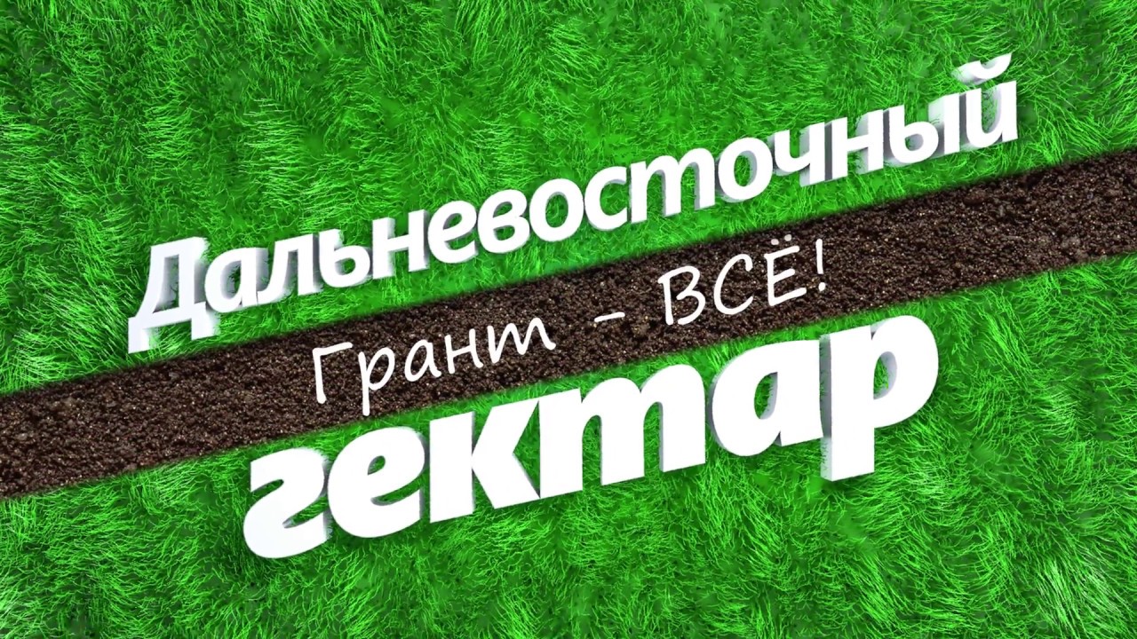 Где искать гранты