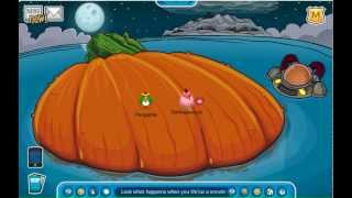 Yarr on Pengable