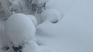 Live breaking News Snowmageddon in Colorado