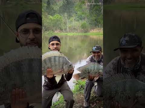 fish skin 😱🤔😱 #trending #fact #viralvideo
