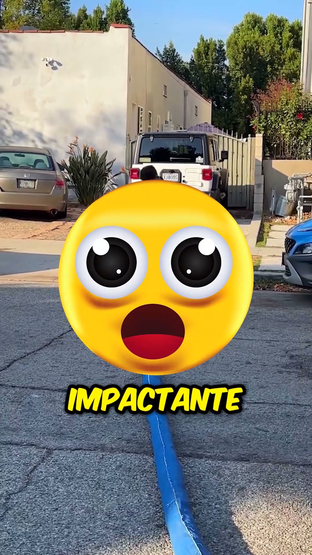 ¿Quién está equivocado aquí? ?