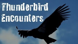 Famous 5 Mysterious Allegedly TRUE Thunderbird Stories Net Worth