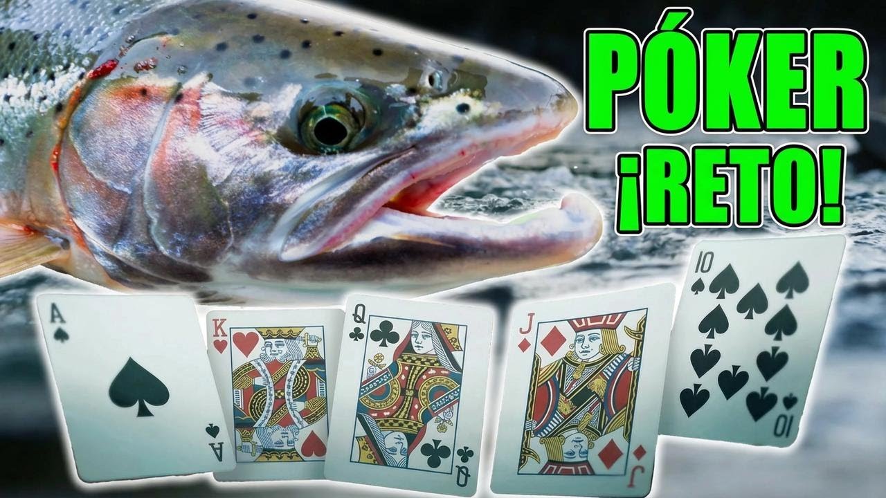 Reto de pesca de Steelhead: ¡la mejor mano se lleva $500!