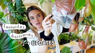 BEST Plants Right Now + Exciting Updates In My Houseplant Collection