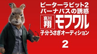 哀川翔 子分うさぎオーディション②書類審査　『ピーターラビット２／バーナバスの誘惑』6月25日全国ロードショー