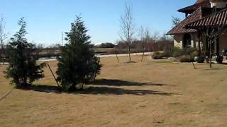 20091129_8.AVI