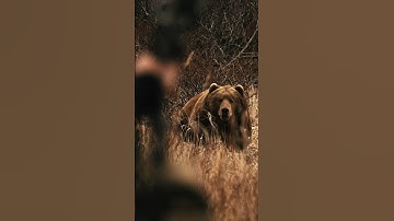 Monsters of Kodiak: Presented by Sig Sauer… Watch it now on our channel. Subscribe now!