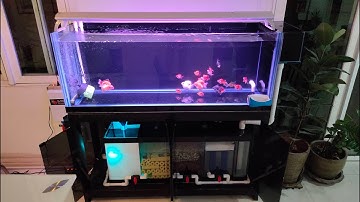 T สาย 2 - O4FS ตู้ปลาทองริวกิ้น 60" 18" 22" กรองล่าง 48" (ตู้ไร้คานบน) Set 4