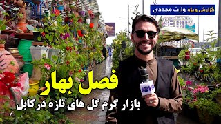بازار گرم گل های تازه در کابل، گزارش ویژه وارث مجددی