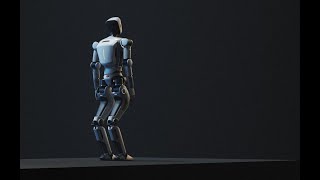 RAISE-A1 Humanoid Robot