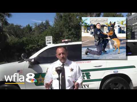 Lee County Sheriff Carmine Marceno gives update on K-9 dying in line of duty