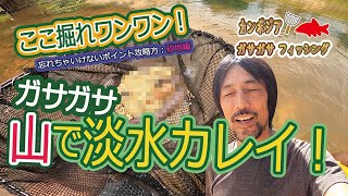 山麓で淡水カレイ採り！Fresh water Flatfish in Cambodia