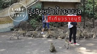 ฝูงลิงหน้าถ้ำจอมพล อำเภอจอมบึง จังหวัดราชบุรี @LolyDiary
