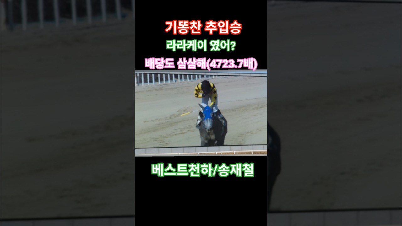 저기서 날라온다고?#경마 #말 # 달려라말 #shorts #horse