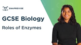 Roles of Enzymes | 9-1 GCSE Science Biology | OCR, AQA, Edexcel