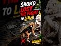 SHOKO Lost the Fight to LIMA! 😱🐶