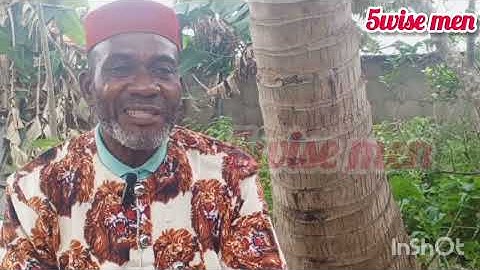 Introduction of 5wise men 