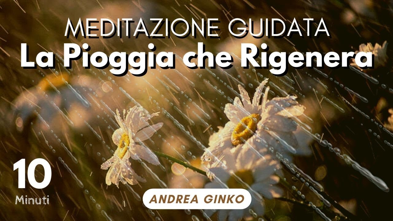 MEDITAZIONE GUIDATA con i suoni della PIOGGIA | LASCIA ANDARE ansia ...