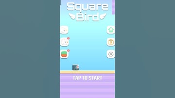 Square bird #shorts #youtubeshorts #squarebird #funk #game #gameplay #gaming #shortvideo #cartoon