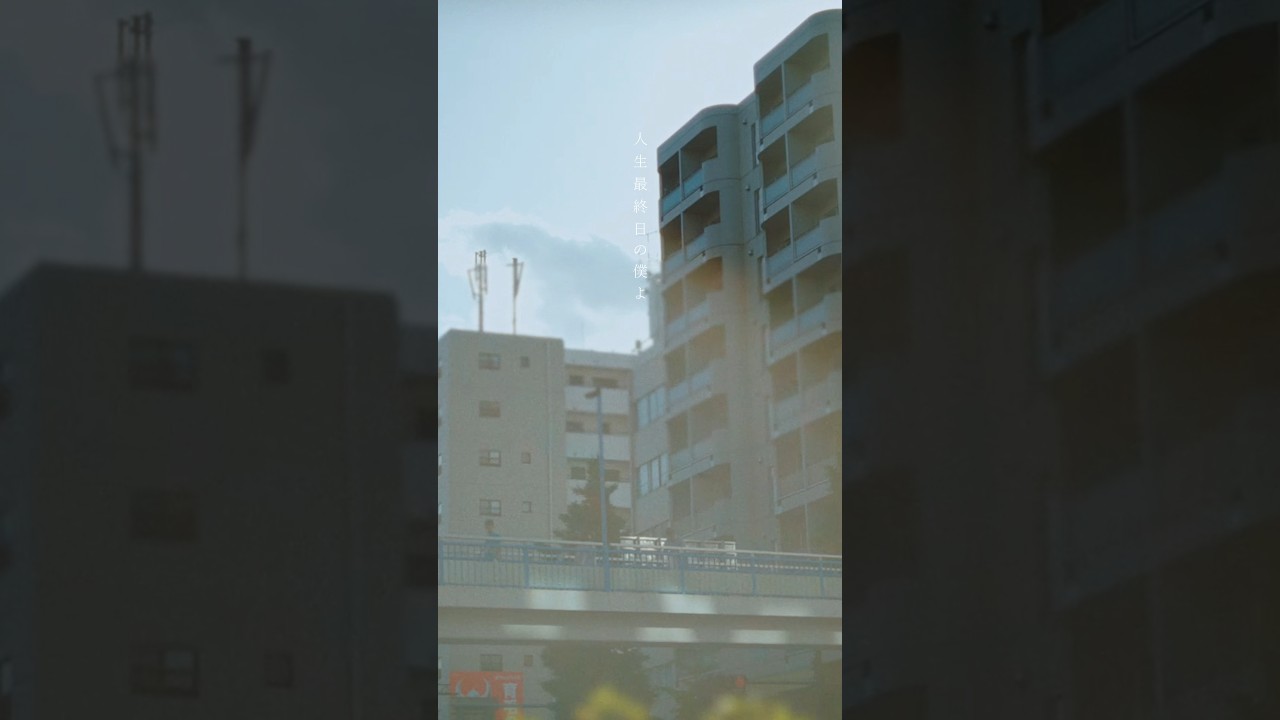 #wacci - 「人生最終日の僕よ」Music Video #shorts
