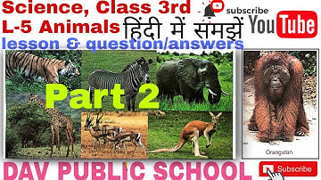 DAV class 3 science lesson 5 Animals , questions answers in Hindi explanation