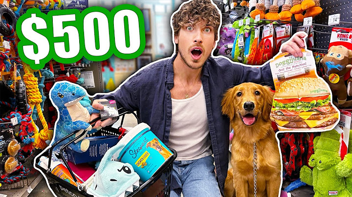 Buying EVERYTHING My Golden Retriever Puppy Touches!