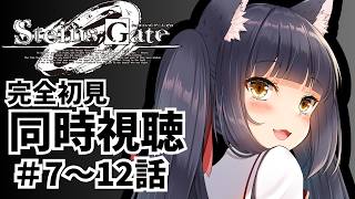 STEINS;GATE 同時視聴