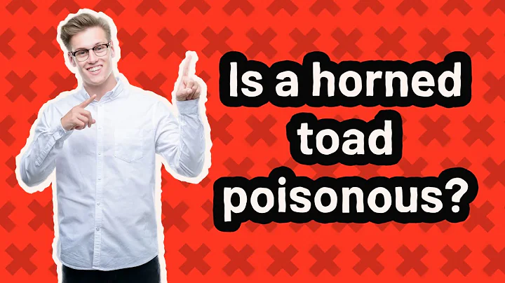 Is a horned toad poisonous?