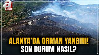 Alanya'daki orman yangınında durum nasıl? A Haber ekibi bölgeden aktardı | A Haber screenshot 1