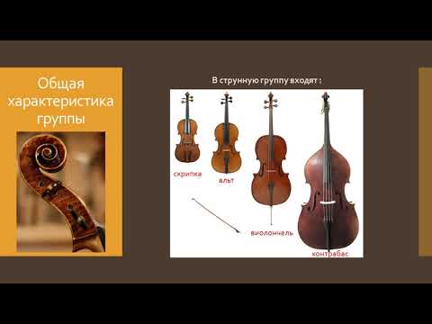 Сомов А.А. Видео-урок по дисциплине "Инструментоведение". Струнная группа симфонического оркестра.