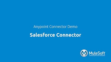 Salesforce Connector Demo: Integration with Mule