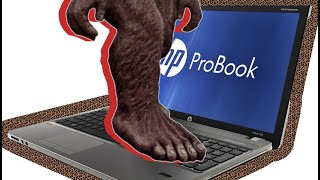 HP ProBook 4730s basic durability test