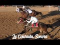 Carreras de Caballos en La Colorada, Sonora 04 de Febrero 2024