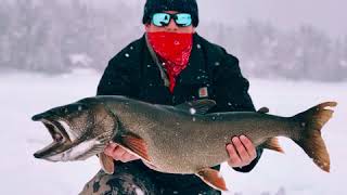 Famous Ice Fishing for large Idaho Mackinaw (Lake Trout) Wealth