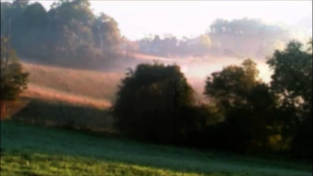 Nature - Video Sound Design