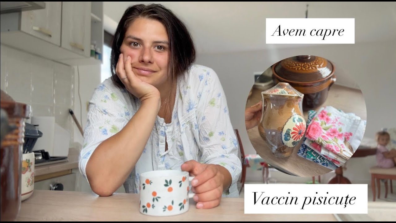 VLOG | Haul cu lucruri pentru casă nouă  , avem capre și vaccin pisicuțe (viața de la sat) 