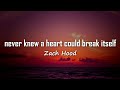 Zach Hood - never knew a heart could break itself (Lyrics) | (acoustic)