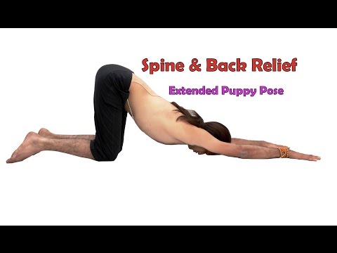 Which yoga poses can help with back pain?