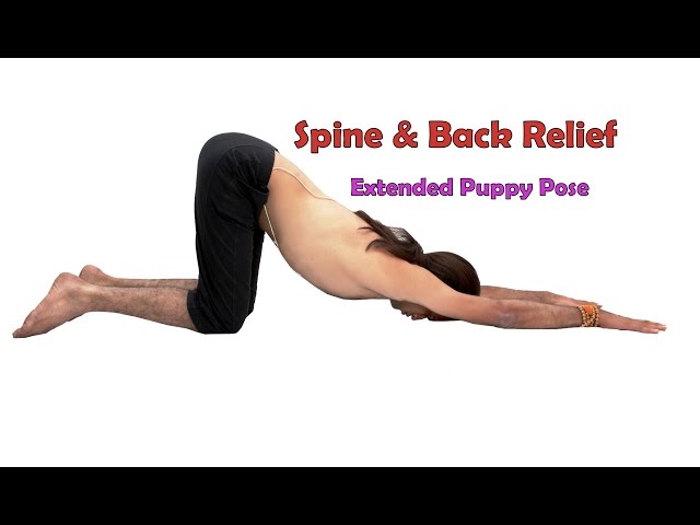 Extended Puppy Pose by Sam Stitt - Exercise How-to - Skimble