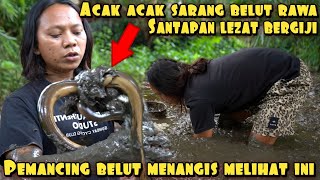 Bongkar Sarang Belut Rawa Jadikan Menu Makanan